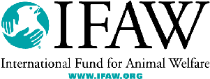 Ifaw, Wspa, And Other Groups Band Together To Help Animals In Haiti